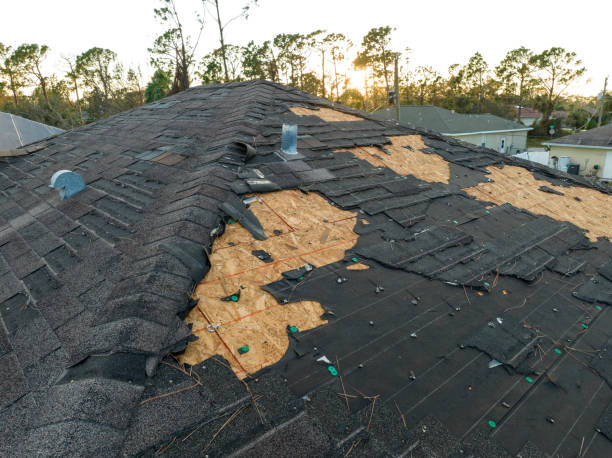 Best Asphalt Shingle Roofing  in Leisure World, MD